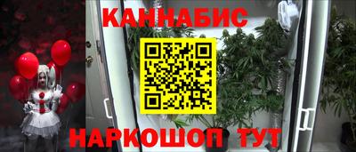 крисы Малоярославец